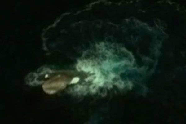 Сайт кракен онион