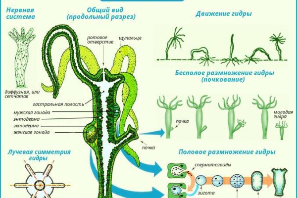 Кракен ссылка оригинал