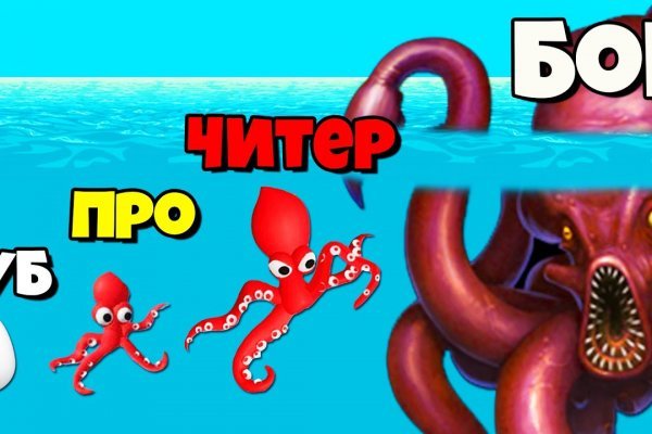 Kraken найдется все