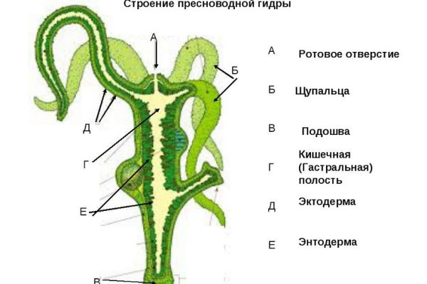 Кракен тор ссылка онион